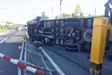 Hàng chục con heo thịt rơi khỏi xe tải, 'náo loạn' đường quốc lộ