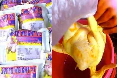 Làm thế nào để tránh mua phải lợn 'tạo nạc' và gà 'vàng ô'?