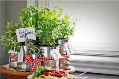 Sáng tạo với cách trồng rau thơm trong nhà bếp sẵn có khi cần