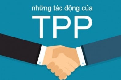 Hà Nội cần chuẩn bị để gia nhập TPP?
