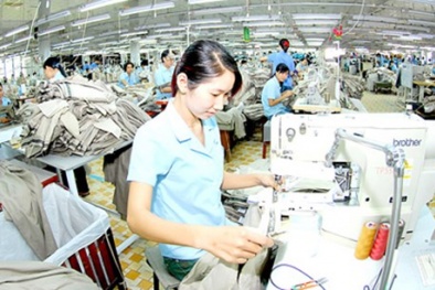 Đọc báo hôm nay: Những tin tức mới cập nhật ngày 9/11/2015