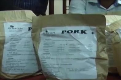 Bắt lô hàng chất tạo nạc trong thức ăn chăn nuôi chứa nhiều độc tố gây hại
