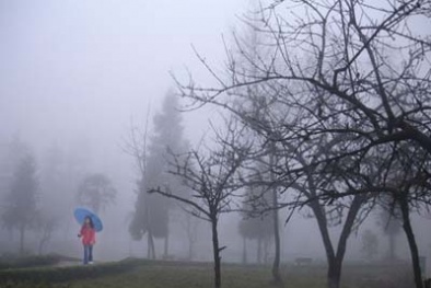 Dự báo thời tiết ngày mai 13/11: Bắc Bộ đêm và sáng trời lạnh 