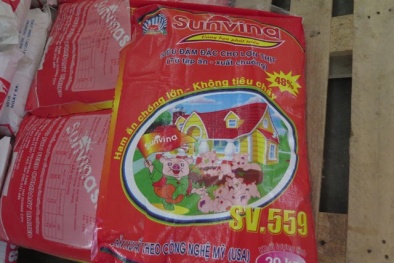 Bắt quả tang trộn chất vàng ô vào thức ăn cho gà