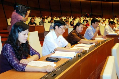 Đọc báo hôm nay: Những tin tức mới cập nhật ngày 12/11/2015