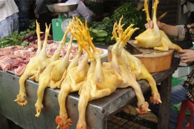 Vạch trần các thủ đoạn 'phù phép' cho thịt gà, bò tươi ngon