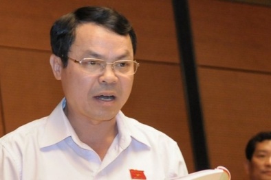 Vụ dân chặn xe ĐB Dương Trung Quốc: 'Bộ, ngành xử lý chậm'