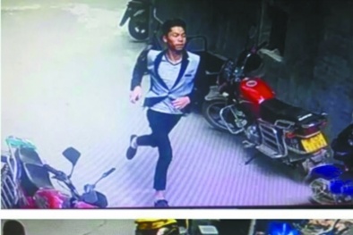 Trung Quốc: Trốn chui lủi trong chuồng lợn sau khi gây tai nạn