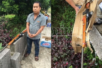 Tin tức pháp luật mới nhất hôm nay ngày 15/11