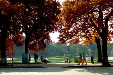 Dự báo thời tiết ngày mai 17/11: Nắng trên khắp cả nước 