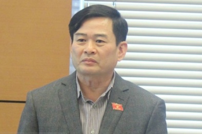 'Nếu tôi làm Chủ nhiệm VPQH, có thể thải được 40% công chức...'