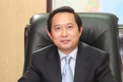 Ba Phó Tổng giám đốc Hanel cùng xin thôi việc