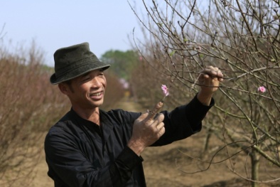 Công bố thời gian nghỉ lễ, Tết chính thức năm 2016