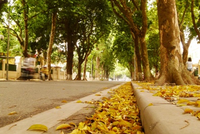 Dự báo thời tiết ngày mai 18/11: Bắc Bộ có mưa vài nơi, ngày nắng 