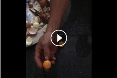 Clip: Lòng đỏ trứng gà đập xuống đất nảy tưng tưng như cao su