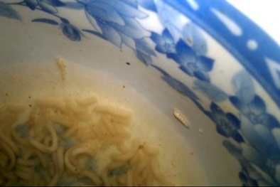 Hoảng hồn phát hiện 'sinh vật lạ' trong mì ăn liền Kokomi của Masan