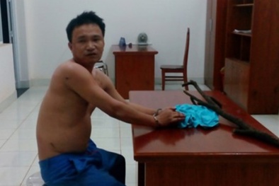 Tin tức pháp luật mới nhất 24h hôm nay ngày 18/11