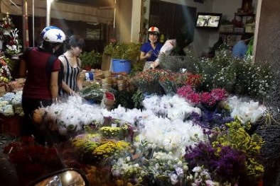 TP.HCM: Giá hoa hồng tăng gấp đôi nhân ngày Nhà giáo Việt Nam 20/11 