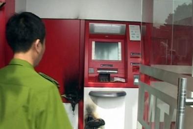 Tin tức pháp luật mới nhất 24h hôm nay ngày 20/11