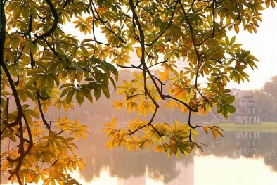 Dự báo thời tiết ngày mai 22/11: Bắc Bộ chiều hửng nắng 