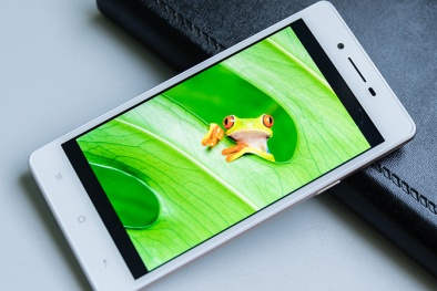 Top smartphone giá rẻ bán chạy nhất Thế Giới Di Động