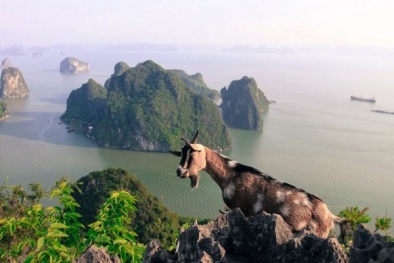 Tương truyền về núi Bài Thơ