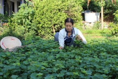 Luân chuyển hiệu trưởng cho nữ giáo viên nghỉ việc vì sinh dày