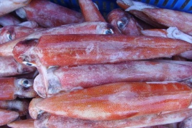 Phát hiện 2 lô mực Đài Loan (Trung Quốc) có kim loại nặng nhập khẩu vào VN