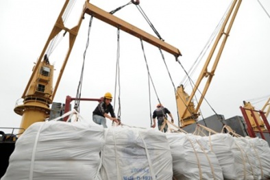 Đọc báo hôm nay: Những tin tức mới cập nhật ngày 25/11/2015