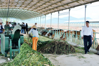 Hoàng Anh Gia Lai lãi nhất từ mảng nào?