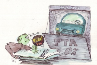 Ma trận thuế, phí ôtô con: 'Trăm dâu' đổ đầu... người dùng