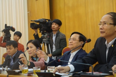 Có bầu thêm người khác làm Chủ tịch TP Hà Nội hay không do HĐND quyết định