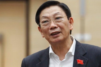 Lí do ông Nguyễn Thế Thảo xin thôi chức Chủ tịch UBND TP.Hà Nội?