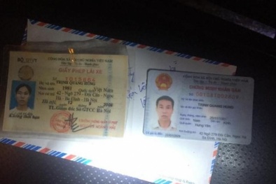 Tin tức pháp luật mới nhất 24h hôm nay ngày 29/11