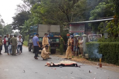 Bản tin tai nạn giao thông mới nhất 24h qua ngày 30/11