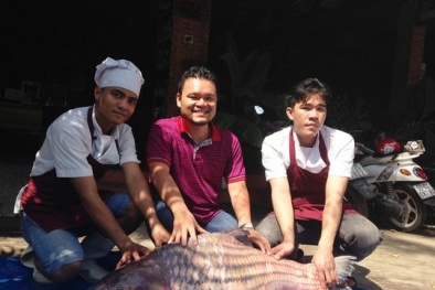 Cá trà sóc khổng lồ giá trăm triệu lọt lưới ngư dân miền Tây