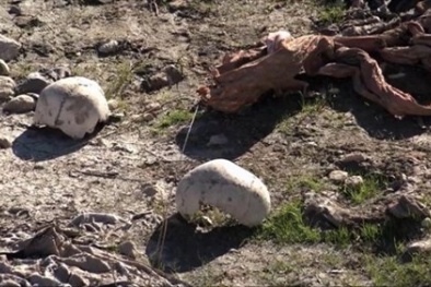 Kinh hãi mồ chôn tập thể hơn 110 người bị IS sát hại ở Iraq