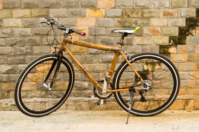 Xe đạp tre xuất khẩu: Siêu phẩm của người Việt