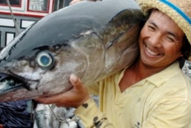 Bộ Nông nghiệp Hoa Kỳ đã làm gì khiến Việt Nam phải thất vọng?