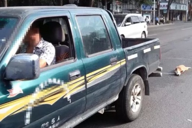 Phẫn nộ chú chó bị xe tải kéo lê đến chết ở Trung Quốc