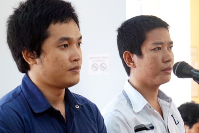 Tin tức pháp luật mới nhất 24h hôm nay ngày 1/12