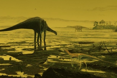 Phát hiện 'sàn nhảy khủng long' hàng trăm triệu năm trước tại Scotland