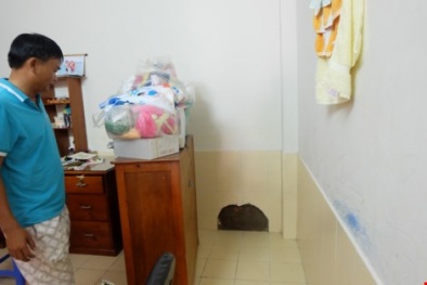 Tin tức pháp luật mới nhất 24h hôm nay ngày 5/12