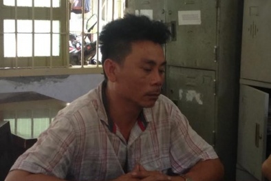 Tin tức pháp luật mới nhất hôm nay ngày 7/12