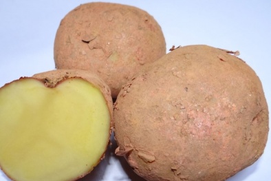 Giảm ung thư dạ dày nhờ khoai tây