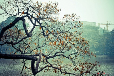 Dự báo thời tiết ngày mai 10/12/2015: Nhiều mây, có mưa vài nơi, trời rét 