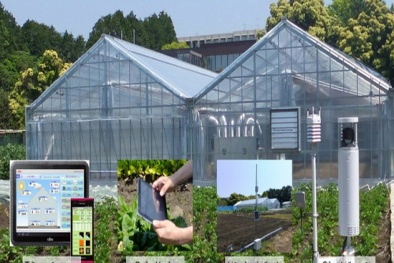 Giải pháp quản lý nông nghiệp Akisai cải thiện năng suất chất lượng