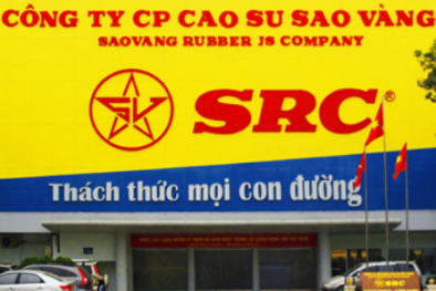 SRC hội nhập và phát triển