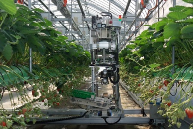 Robot nông nghiệp giúp năng suất chất lượng Nhật Bản tăng nhanh