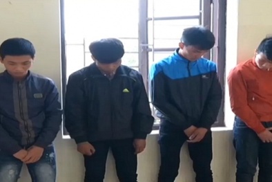 Băng nhóm gây ra 20 vụ cướp giật tài sản trên đường phố sa lưới